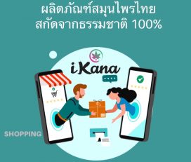 iKana ผลิตภัณฑ์กัญชาคุณภาพ