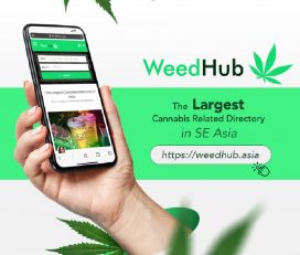 WeedHub | No.1 Weed/Cannabis Platform in SE Asia (Thailand/Laos/Cambodia)