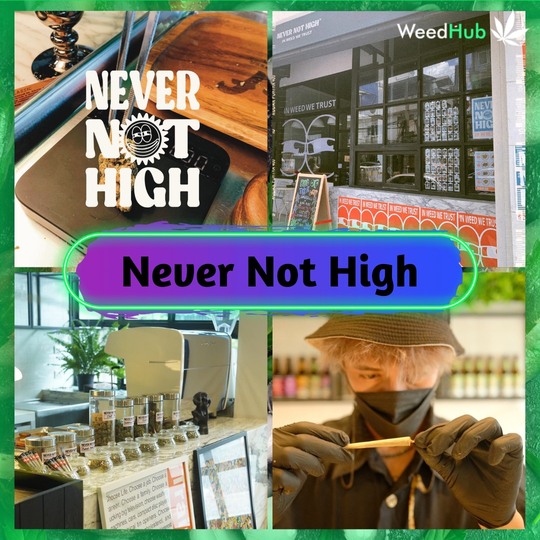 Never Not High