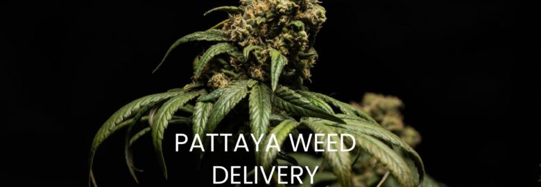 Pattayaweed.Delivery / Franchise