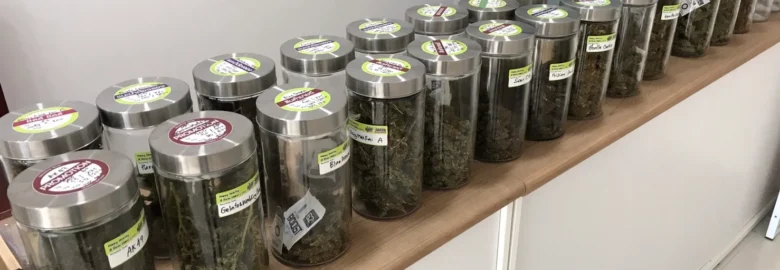 ร้านกัญชาวีดคิงดอม | Weed Kingdom Cannabis Shop