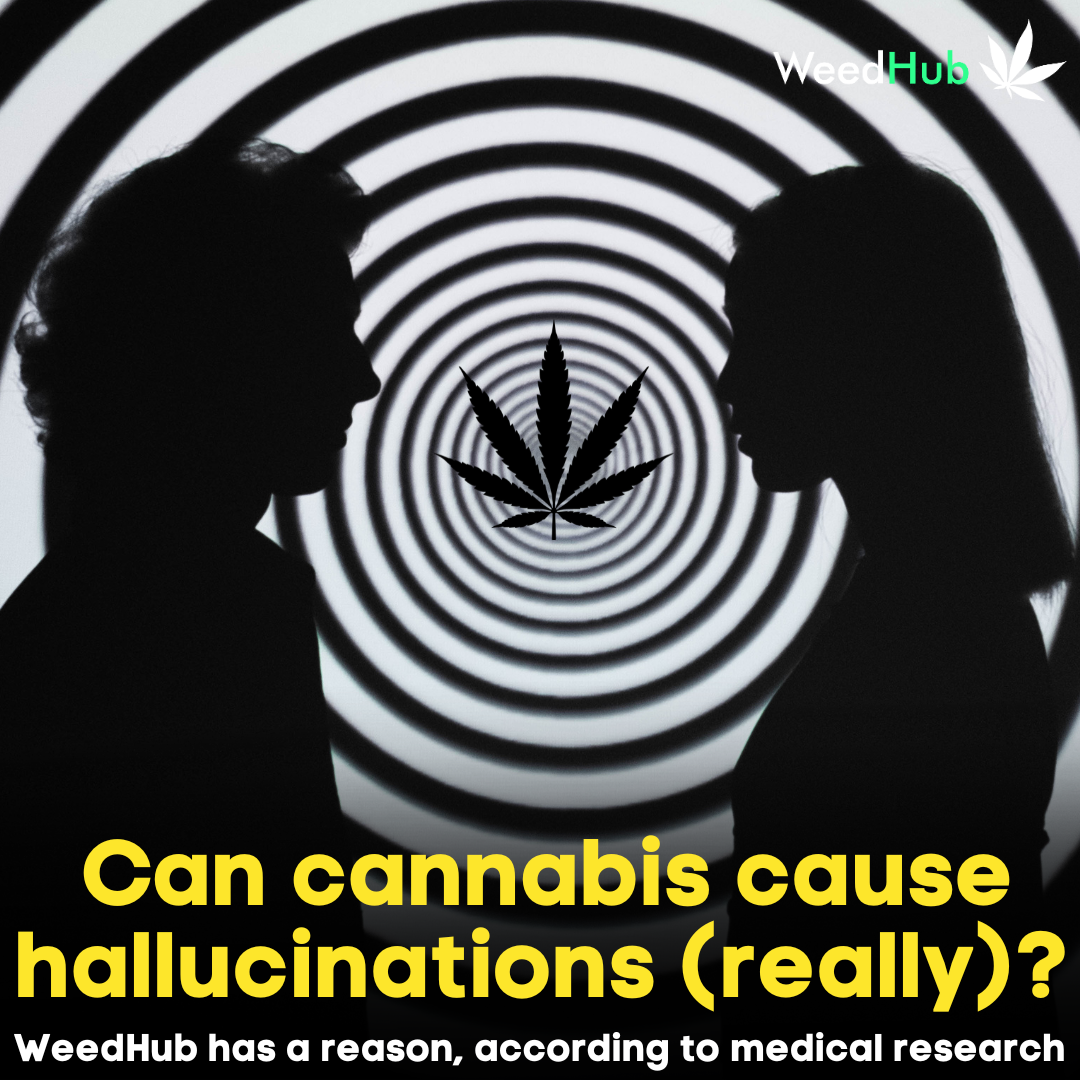 can cannabis causes hallucinations